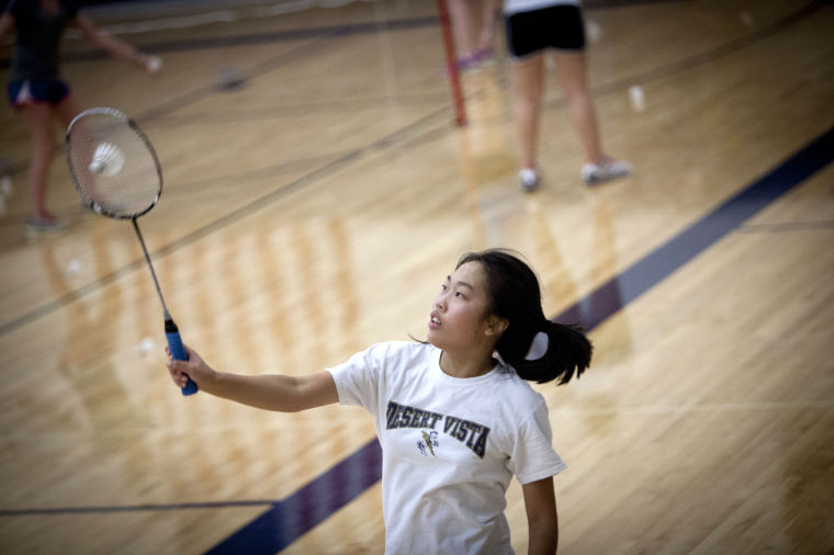 DV Badminton